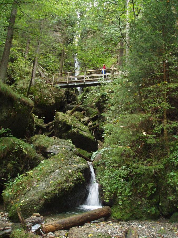 Gastehaus Koch Lejlighed Fischen im Allgaeu Eksteriør billede